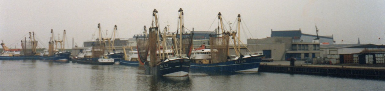 sea-safe-marine-consulting-09.jpg